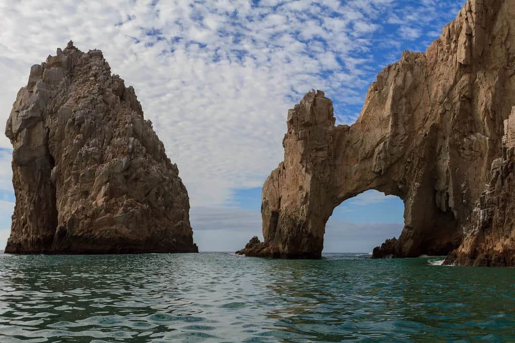 Best Restaurants in Cabo San Lucas: Where to Eat by Area