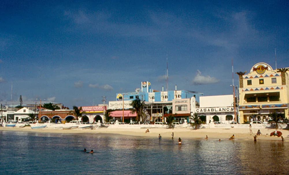 Best Restaurants in Cozumel: Where to Eat by Area