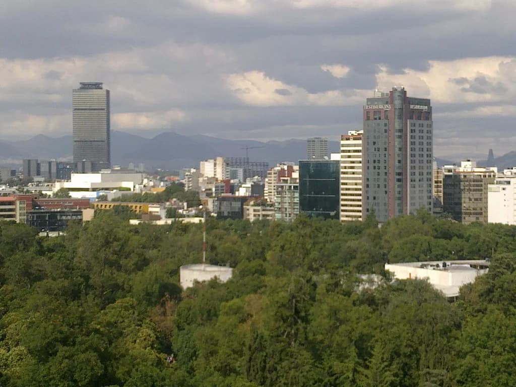 Best Restaurants in Mexico City: Where to Eat by Neighborhood