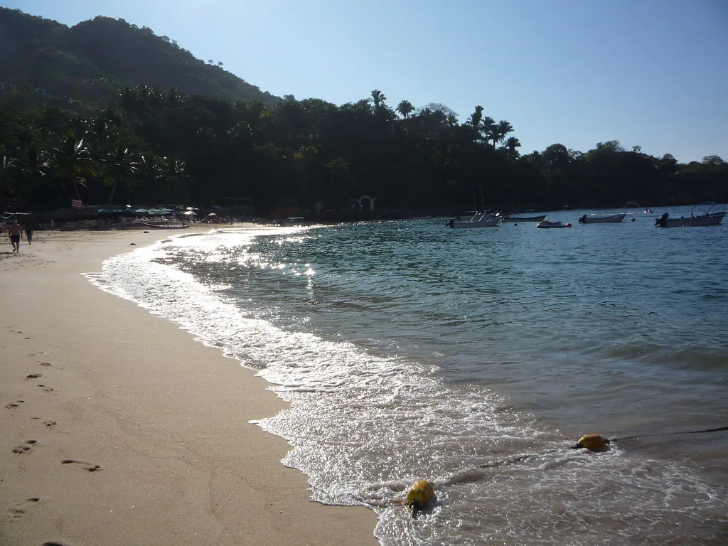 Beach and forested hills along the shore in Puerto Vallarta.
