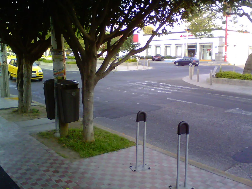 A tree-lined sidewalk on Avenida Chapultepec in Guadalajara.