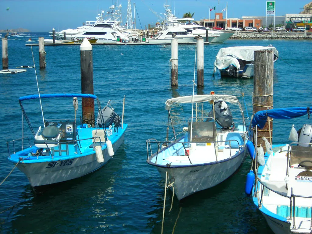 Local fishing boats in the Cabo San Lucas marina.