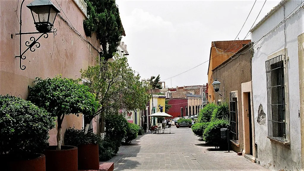 Quiet colonial street lined with potted trees in Querétaro.