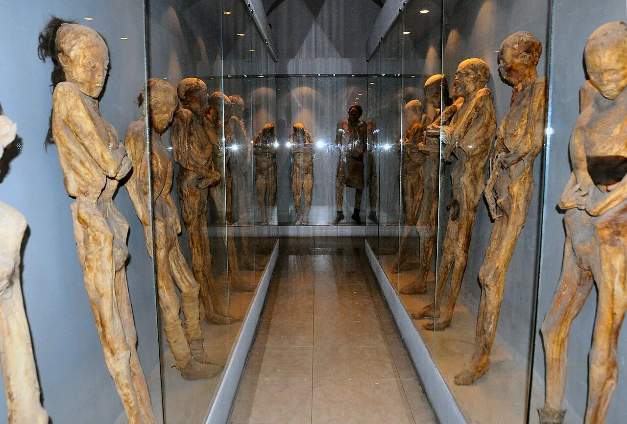 Mummies displayed in glass cases at the Museo de las Momias, Guanajuato.