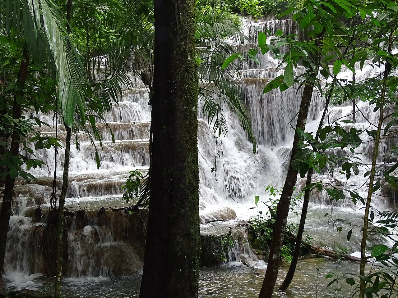 Waterfall seen through trees at Puente Murciélagos, Palenque.