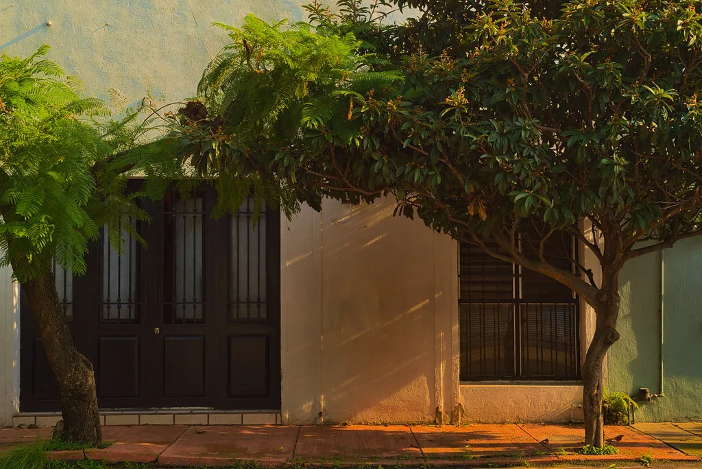 Tree-shaded house front in late sunlight in Guadalajara's Santa Tere neighborhood.
